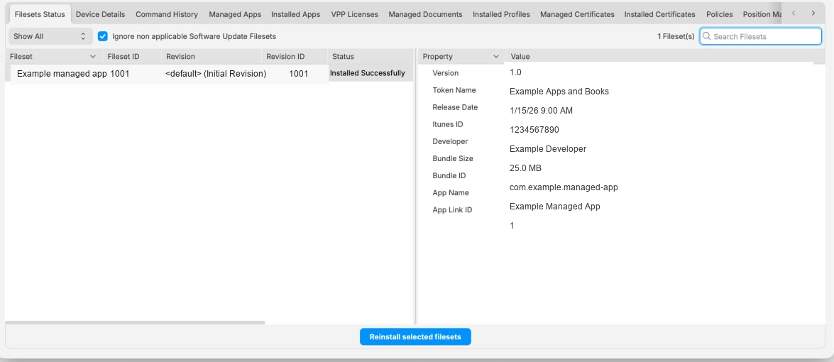 Sanitized FileWave 16.4 Fileset Status view showing application metadata for a selected managed app