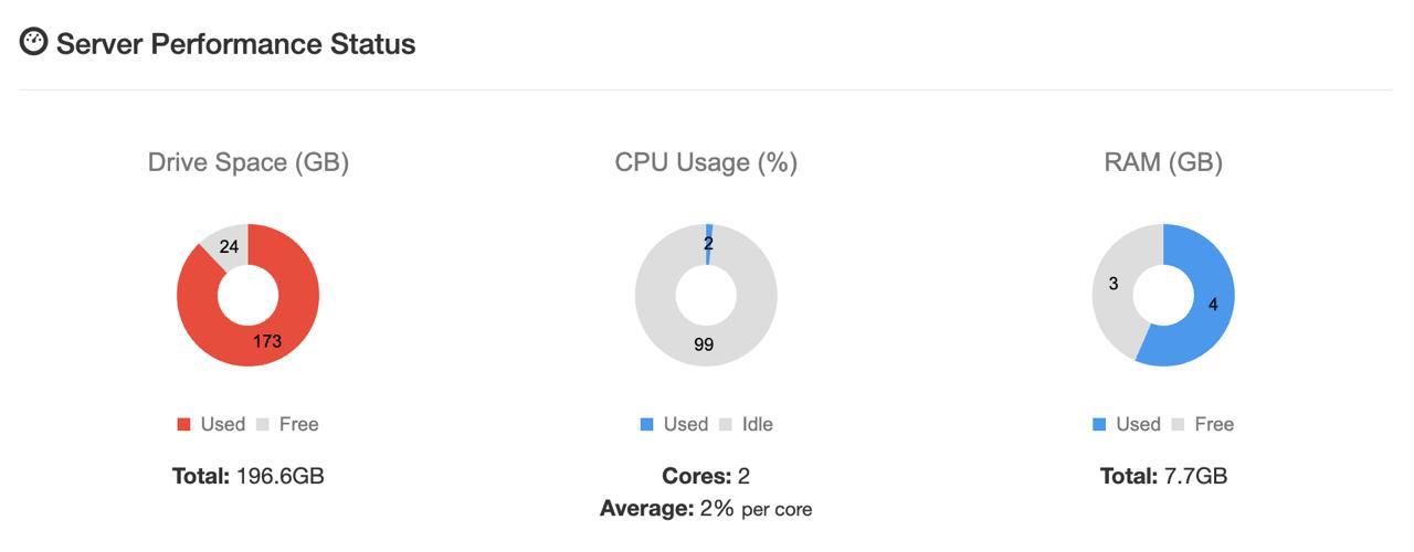 Server Performance Status showing drive space with 173 GB used and 24 GB free, alongside CPU usage and RAM charts.